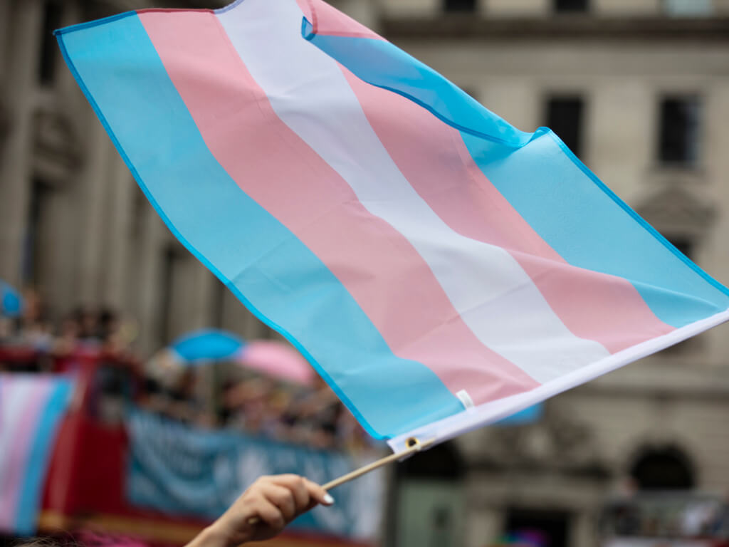 transgender flag, rights
